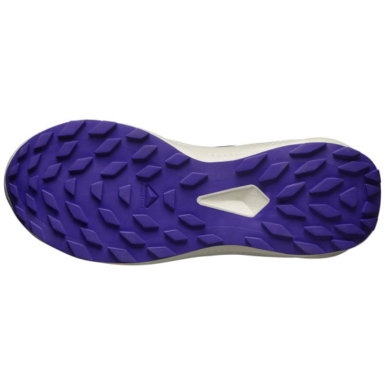 Salomon Alphaglide W